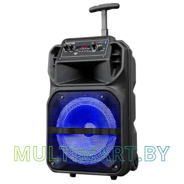 Колонка для вечеринок TELEFUNKEN TF-PS2302
